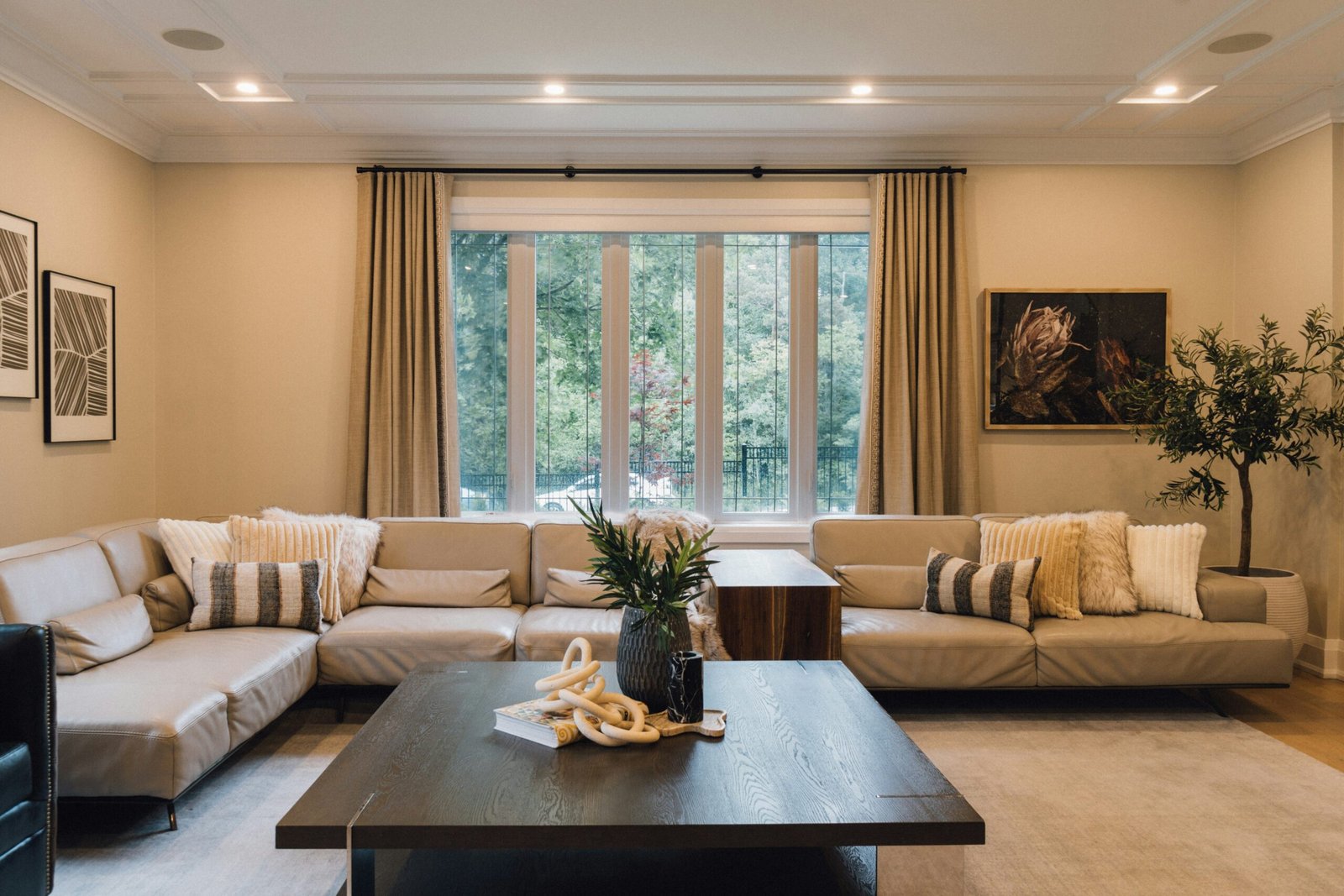 Regular house cleaning service